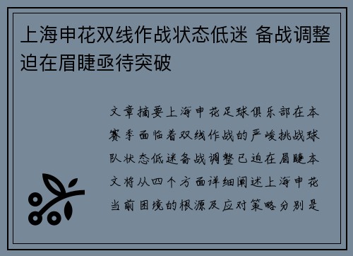 上海申花双线作战状态低迷 备战调整迫在眉睫亟待突破